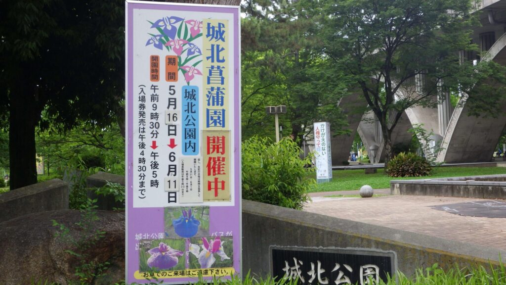城北公園の菖蒲園