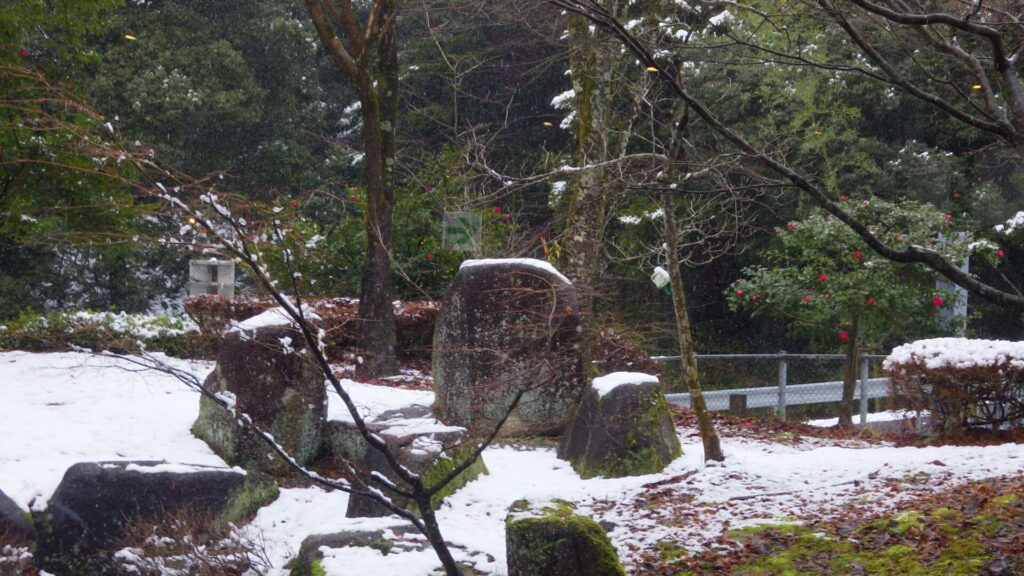 賤ヶ岳サービスエリア2