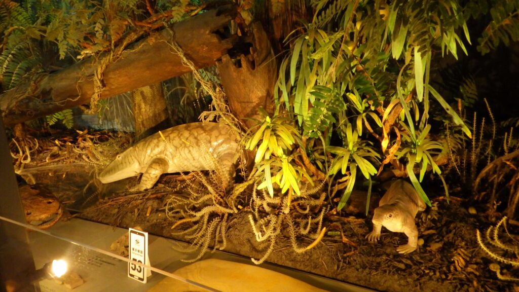 福井県立恐竜博物館4