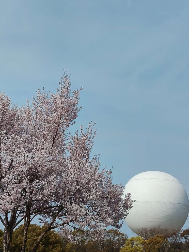 気球のゴンドラ